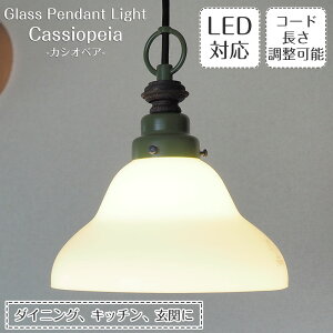 yő2500~OFFCPz 㓡Ɩ y_gCg Cassiopeia JVIyA X^[CgV[Y 1 { VƖ g NVbN 吳 KX L  _CjO _Ng[p Jg