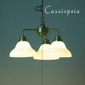 yő2500~OFFCPsz 㓡Ɩ y_gCg Cassiopeia JVIyA X^[CgV[Y 3 { VƖ g NVbN 吳 KX L  _CjO Jg[ X 