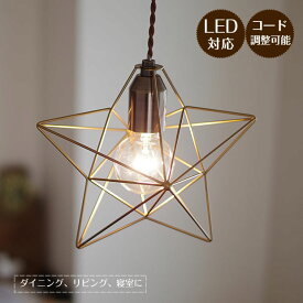 ペンダントライト Bleis Star ブレイススター LT-1091 INTERFORM | 照明器具 照明 天井照明 吊り下げ ランプ LED 1灯 星 ダクトレール用 レール ダイニング 玄関 階段 キッチン おしゃれ 北欧 アンティーク レトロ カフェ かわいい 新生活