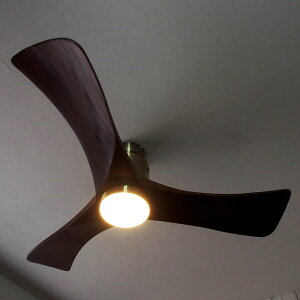 yő2500~OFFCPz V[Ot@ V[OCg LEDCg Rt Bienta rG^ TCF-348 | V[Ot@Cg É DC[^[   ^C}[@\t @ k i`