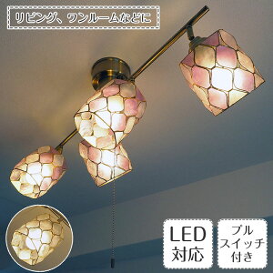 X|bgCg Tiwi eBEB | Ɩ Ɩ VƖ V[OCg JsXL XehOX E26 LED 4 _CjO rO Q vXCb`  k AeB[N g 