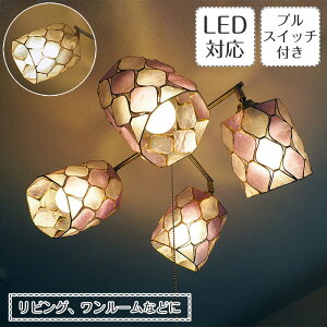 X|bgCg Tiwi eBEB NX^Cv | Ɩ Ɩ VƖ V[OCg JsXL XehOX E26 LED 4 _CjO rO Q vXCb`  k AeB