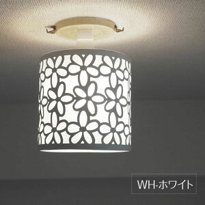 yԌP5{z V[OCg Fiore tBI[ | Ɩ Ɩ VƖ ԐڏƖ Lb` Lb`Cg  փCg gC _CjO X CeBO[ zCg u