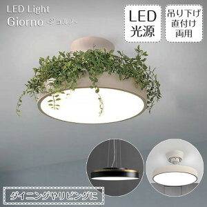 yő2500~OFFCPz V[OCg y_gCg LED Giorno Wm DICLASSE| Ɩ Ɩ VƖ t ݂艺 Cg v LED 6 8 R  F _CjO rO 