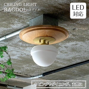 V[OCg Ragdol Oh | Ɩ Ɩ VƖ ԐڏƖ Lb` Lb`Cg  փCg gC rO X KX  ؐ Ebh E26 1  k AeB[