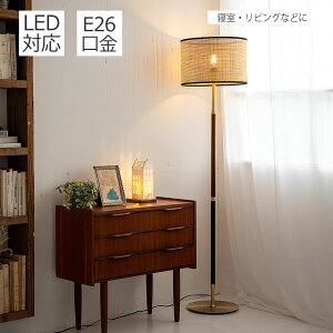 yԌP5{z tACg BALINESE oj[Y TC-1055 1 | Ɩ Ɩ tACg ԐڏƖ v ^  ؐ LED Q xbhTCh  AeB[N g AWA 