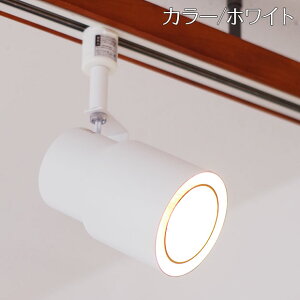 yő2500~OFFCPz X|bgCg _Ng[p Flavio tBI | Ɩ Ɩ VƖ ԐڏƖ t Cg V[O 1 LED CeBO[ [Cg _CjO Lb