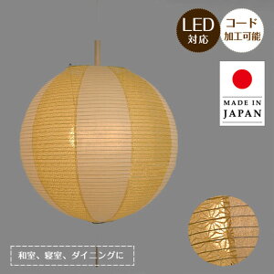 【最大2000円OFFCP】 送料無料 2灯 楮 透かし和紙 ペンダントライト 提灯 光輝×麻葉菜種 デザイン照明 和室 洋室 客間 リビング ダイニング 引越し リフォーム お洒落照明 6畳 200W 彩光デザイン