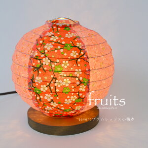 yԌP5{z X^hCg fruits t[c B-10 cCJ[ 11F ʌfUC | Ɩ Ɩ tAv e[uCg X^hƖ ԐڏƖ v { a Za LED 1