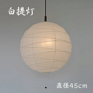 `H| Za  2y_gCg 200W a a45cm Vv a_ a m a X L  _CjO ʌfUC R[hH PN-45 l炵 V 