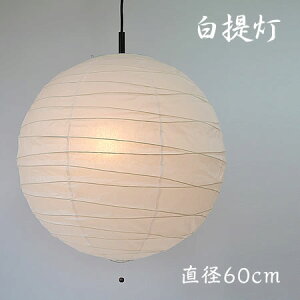 yԌP5{z `H| Za  2y_gCg 200W a a60cm Vv a_ a m a X L  _CjO ʌfUC R[hH PN-60 l炵 V