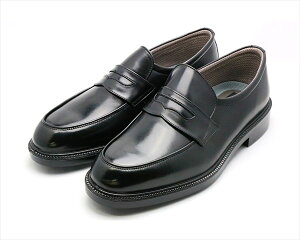 [ASAHI]ATqYrWlXV[YʋΉTK3124(AM31241)ubN