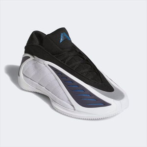 [adidas]�A�f�B�_�X�o�X�P�b�g�{�[���V���[�YANTHONY EDWARDS 2(JQ9493)�t�b�g�E�F�A�z���C�g/�R�A�u���b�N/�_�X�L�[�C���N