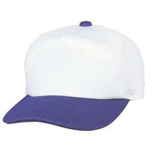 [SSK]GXGXPC `[Lbv(}[LOVXeΉi)(BC067)(1080)zCg×p[v