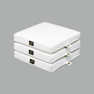 [SSK]GXGXPCNpۃx[X(YM10B)