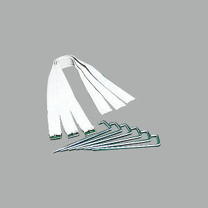 [SSK]GXGXPCpփxg(1{)(YMBR)