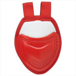 [SSK]GXGXPC X[gK[h(J[)(CTG10C)(2010)bh×zC