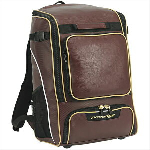 [SSK]GXGXPCobNpbN(EBA1014)(22)GW