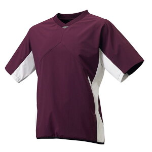 [SSK]GXGXPCV{fBOWPbg(BWP2004H)(2210)GW×zCg