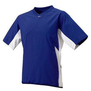 [SSK]GXGXPCV{fBOWPbg(BWP2004H)(6310)Du[×zCg