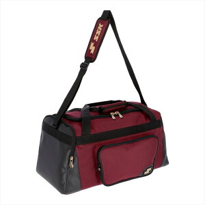 [SSK]�G�X�G�X�P�C�~�h���o�b�O(BA4008)(22)�G���W