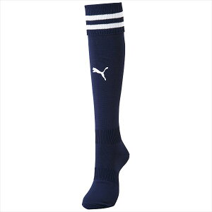 [puma]v[}Lined Stocking(729881)(06)s[R[g/v[} zCg