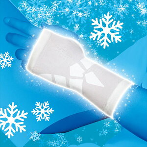 [D&M]fB[GAXfBT|[^[KN[ X[u^Cv ̂Ђ(109301)(10)zCg