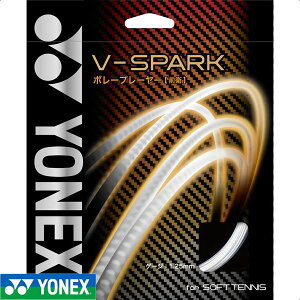 y2܂Ń[։z[YONEX]lbNXejXKbgV-Xp[N(SGVS)(719)vEhzCg