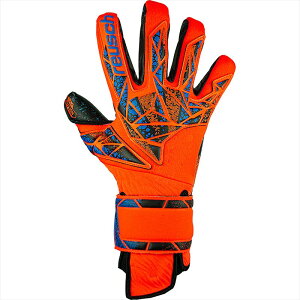 [reusch]CVL[p[O[uAgNg t[W K[fBA(5470985)(2211)nCp[IW/GNgbNu[/ubN