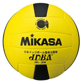 楽天市場 ドッジボール ボール 公式の通販