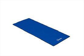 [TOEI LIGHT]トーエイライトエクササイズマットHG180(H-7153)ブルー