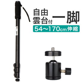 楽天1位 一脚 自由雲台 カメラ ビデオカメラ 単脚 ステッキ デジカメ 一眼レフ 伸ばし棒 手持ち 撮影 軽量 伸縮 収納 コンパクト 1脚 雲台 三脚 雲台付き 持ち運び 石突 アルミ グリップ 運動会 アーム