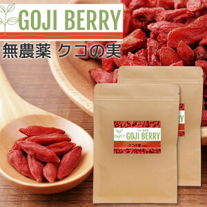 NR̎ 250g SWx[ _ hCt[c X[p[t[h Etx[ V gbsO mXq 2 Zbg 500g