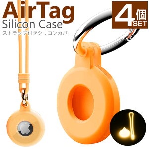 16F lC̃VR apple Air Tag P[X Xgbvt یJo[ Abv GA^O h~ ϏՌ EȒP ^ y Pi 4Zbg VR 킢