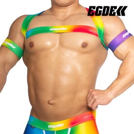 【3709】RAINBOW GRADATION　harness & armbands set