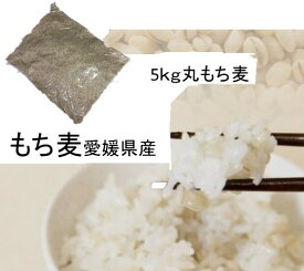 もち麦 (丸）5kg 愛媛県産 白いもち麦 雑穀米 ダイエット 国産 大麦 もちむぎ 食物繊維 ぷちぷち ご飯 健康 美肌効果 穀物 プチプチ もちムギ モチムギ モチ麦 国内産　βグルカン　5キロ