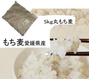 もち麦の通販 価格比較 価格 Com