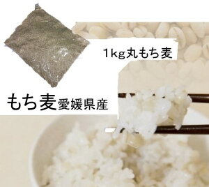 もち麦 愛媛県産の人気商品 通販 価格比較 価格 Com