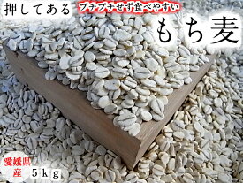 もち麦(押し） 5kg 愛媛県産 白いもち麦 当店オリジナル 雑穀米 ダイエット 国産 大麦 もちむぎ 食物繊維 押してある もっちり ご飯 健康 美肌効果 穀物 低カロリー 美肌 簡単 もちもち ダイエット効果 食品 食べ物 もち麦ごはん おいしい 国産 5キロ βグルカン