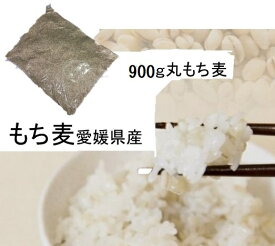 もち麦 (丸） 900g 愛媛県産 白いもち麦 雑穀米 ダイエット 国産 大麦 もちむぎ 食物繊維 ぷちぷち ご飯 健康 穀物 βグルカン モチ麦 もちむぎ モチムギ 麦 国内産
