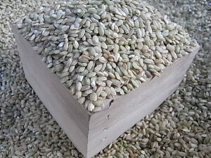  900g Y G G H@ }OlVE  Y 茺