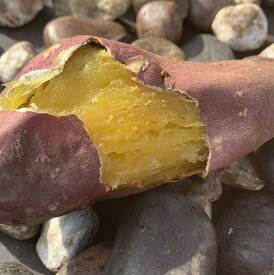 焼き芋 訳あり 紅はるか 冷凍 1.9kg 茨城県産 S・M・Lサイズ 冷凍焼きいも 甘い ねっとりしない ホクホク 焼いも 国産 べにはるか やきいも ベニハルカ 焼きいも さつま芋 国内産 いばらき SMLサイズ クール代無料