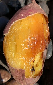 ܂  g͂邩 5kg 錧Y MTCY ` Â ˂Ƃ肵Ȃ ׂɂ͂邩 xjnJ ߘa7N ܈ Y ΂炫 MTCY