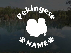 [̃XebJ[]wDOG STICKERxOhbOXebJ[yLj[Y(LTCY)