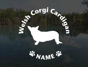 [̃XebJ[]wDOG STICKERxOhbOXebJ[EFVR[M[J[fBK(LTCY)