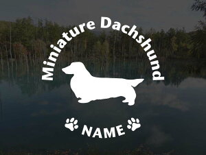 [̃XebJ[]wDOG STICKERxOhbOXebJ[~j`A_bNXth OwA[h(LTCY)