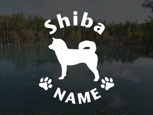 [̃XebJ[]wDOG STICKERx OhbOXebJ[Č(STCY)