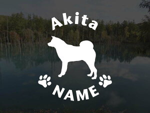 [̃XebJ[]wDOG STICKERxOhbOXebJ[Hc(STCY)