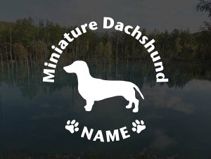 [̃XebJ[]wDOG STICKERxOhbOXebJ[~j`A_bNXth X[XwA[h(STCY)