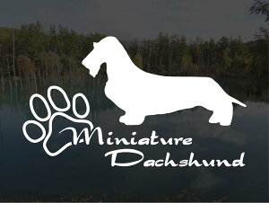 [̃XebJ[]wDOG STICKERx傫߂̃hbOXebJ[~j`A_bNXth C[wA[h